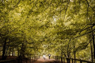 North Wales Wedding Photographers