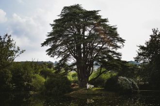 Cornwall Wedding Photographers