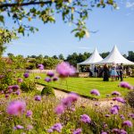 Walled Garden Cowdray Wedding Photography - Stylish Wedding Photography